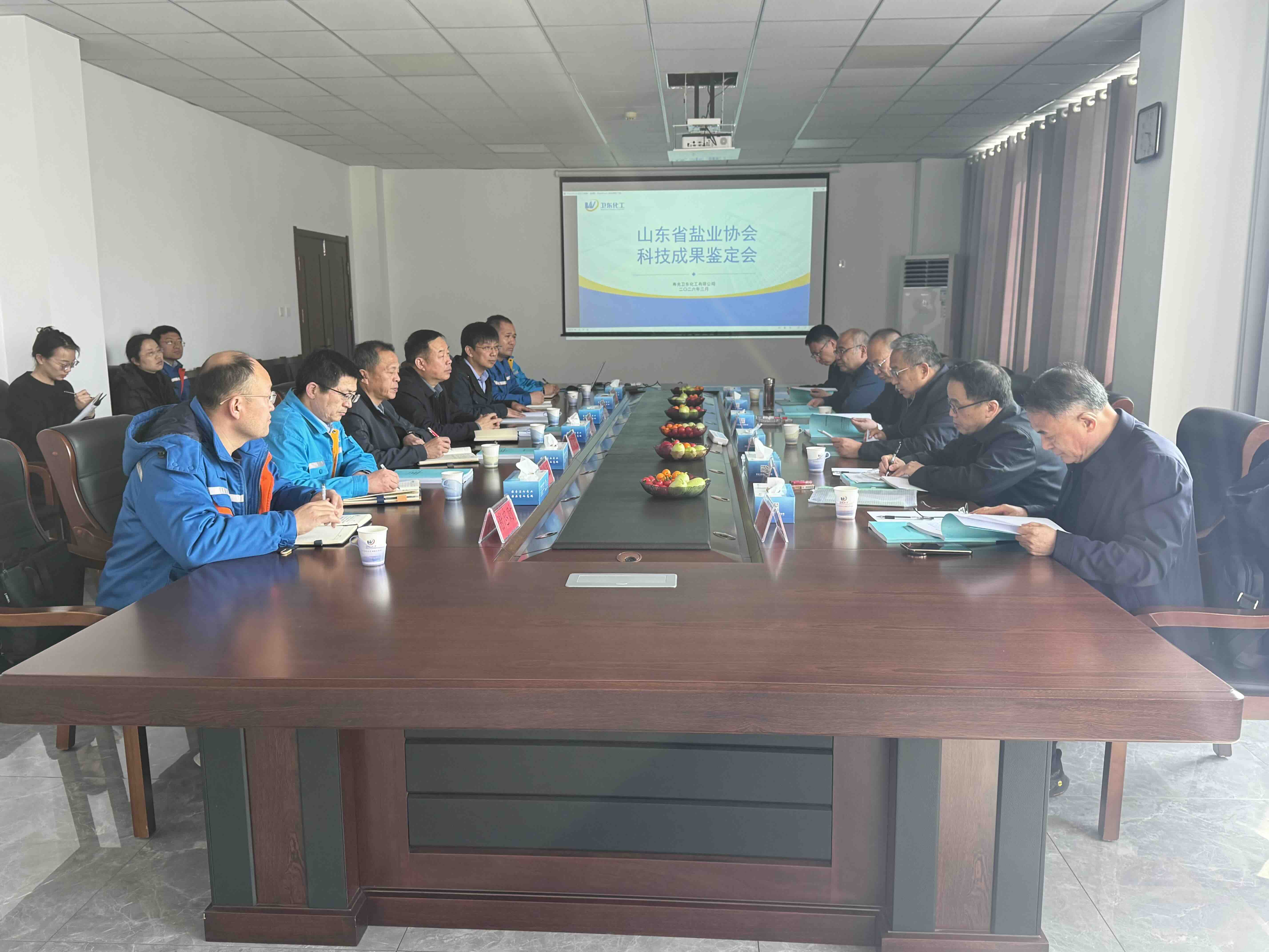 山东省盐业协会组织召开卫东化工两项科技成果专家评审会